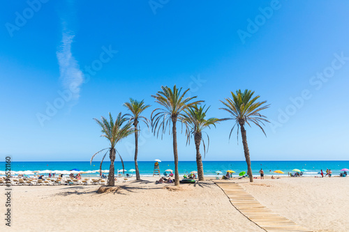 Seaside in Alicante, with palm trees on the beach