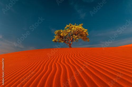 Stunning view of rippled sand dunes and lonely tree growing under amazing blue sky at drought desert landscape. Global warming concept. Nature background