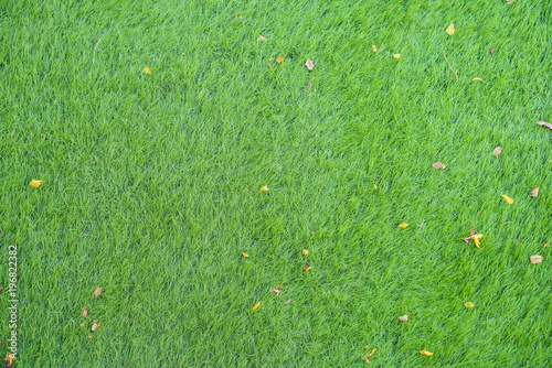 image of Artificial grass taken from the top .