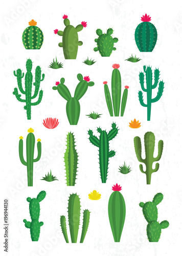 Vector cactus icons