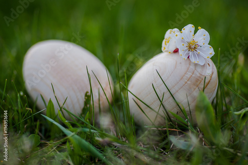 Two white Easter eggs with a branch of apricot in green grass. Easter background. Search for eggs at Easter.
