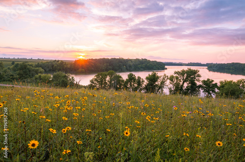 Minnesota Wild Flowers and Lake