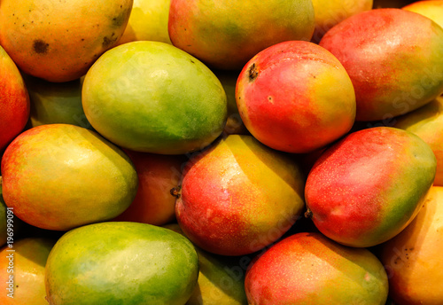lot of red fresh mango fruits