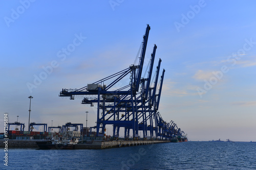 Port crane bridge and bulk carrier