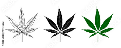 Black and Green Cannabis Leaf . Logo Design