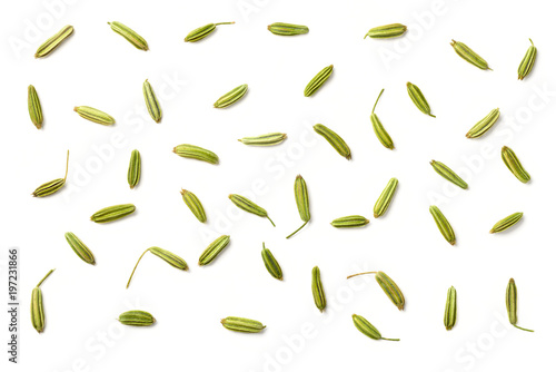 dried fennel seeds isolated on white