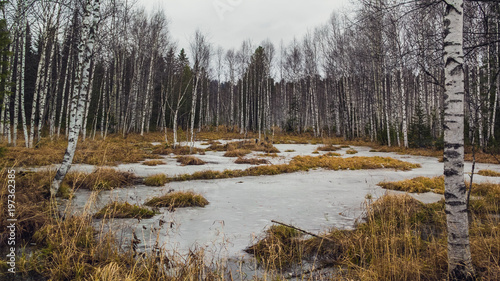 "On a snow-covered swamps"