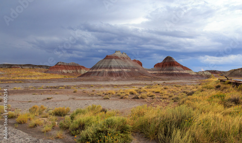 Painted desert formations