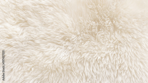 White wool texture background, cotton wool, white natural sheep wool, beige fluffy fur, fragment white carpet, close-up light wool with detail of woven pattern, factory fabric material with a twist