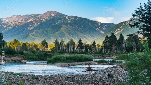 Mountain river and forest trees on the sunset, Altai Mountains, Kazakhstan