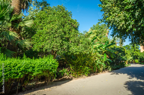 Beautiful park in old medina of Marrakesh, Morocco