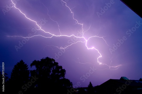 purple lightning 