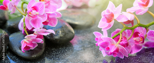 Black spa stones and pink orchid flowers .