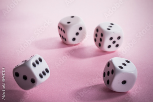 weiße Würfel auf rosa pastell Hintergrund - Auslosung des Gewinnspiel / Verlosung Zufall entscheidet
