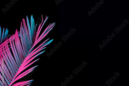Tropical and palm leaves in vibrant bold gradient holographic neon colors. Concept art. Minimal surrealism background.