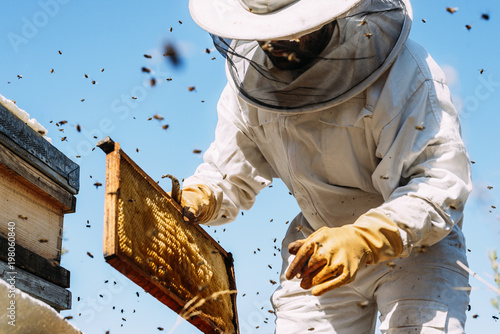 Beekeeper working collect honey.