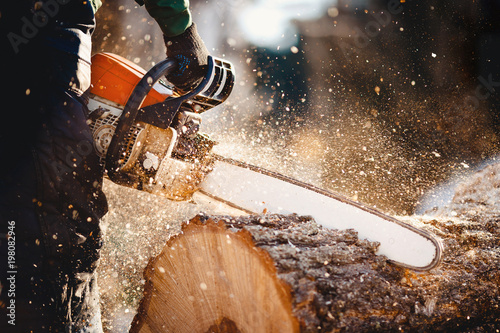 Chainsaw. Woodcutter saws tree with a chainsaw on sawmill