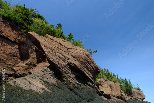 Bay of Fundy's low tide exposes the ocean floor and seaweed