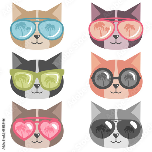 cats with colorful sunglasses isolated on white