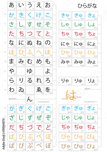 Complete Japanese hiragana syllabary vector design to study a new language