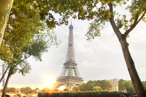 Romantic sunset background. Eiffel Tower over the trees in Paris, France.
