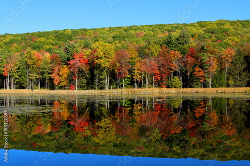 Landscape picture of autumn multicolored trees reflecting in water, shot in Stockbridge, Massachusetts, USA