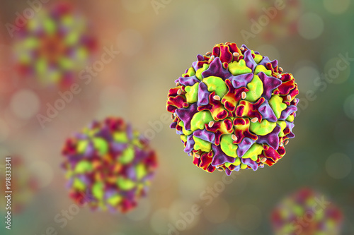 Poliovirus, an RNA virus that causes polio disease