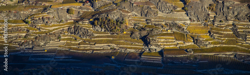 Aerial landscape of the north side of the Rhone River, showing vineyards in the Valais kanton (Wallis) near the city of Sion in an autumn sunrise, Switzerland