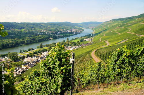 Weinort Graach an der Mosel, auf der anderen Moselseite Wehlen 