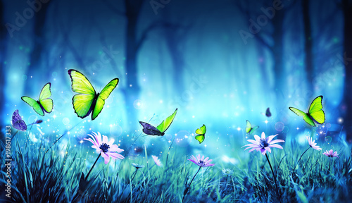 Fairy Butterflies In Mystic Forest 