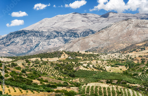 Typical Cretan country, Greece