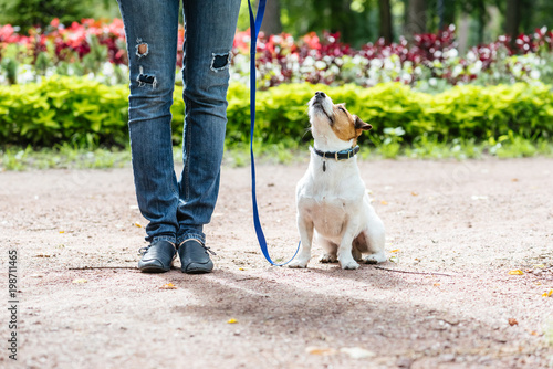Good Citizen Dog Training: obedient dog training to walk on leash with owner