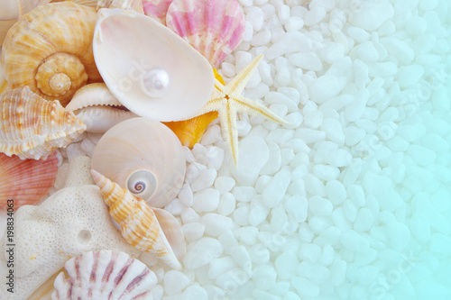 Seashells, pearl, starfish and white stones 