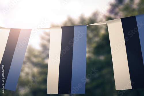 Estonia flag pennants