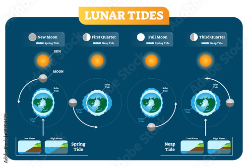 Lunar and Solar tides vector illustration diagram poster. Spring and Neap tide.