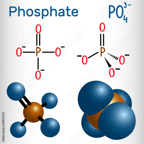 Phosphate anion molecule . Structural chemical formula and molecule model