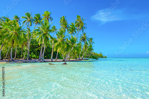 Palm trees on the beach. Travel and tourism concept. Tahaa, Raiatea, French Polynesia.
