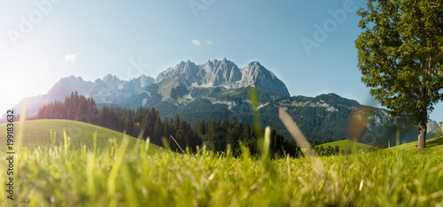 Sommer in den österreichischen Bergen - Wilder Kaiser, Tirol, Austria 