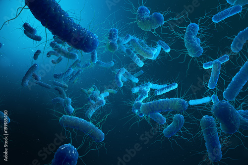 Enterobacterias Gram negativas Proteobacteria, bacteria such as salmonella, escherichia coli, yersinia pestis, klebsiella. 3D illustration.