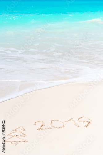 2019 and firtree painting on sandy white beach