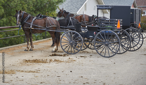 amish horse buggy tied to hitching post