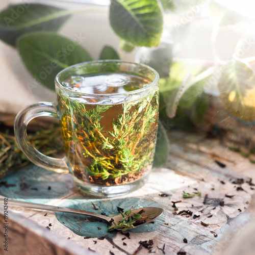 Hot herbal tea with bunch of fresh thyme. Rustic style, natural day light.