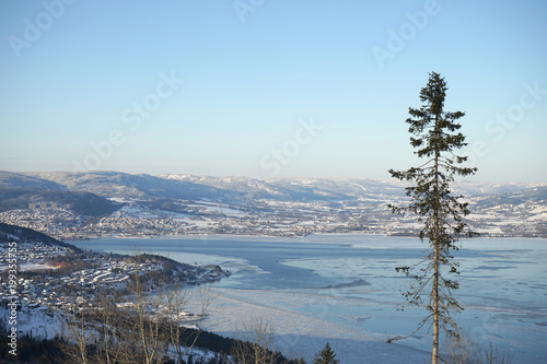 Lonely tree on background of Drammen fjord in winter time.