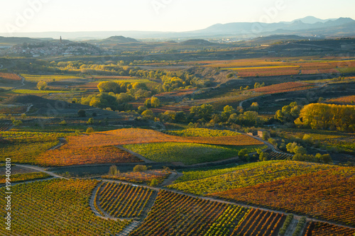Autumnal fields in the Spanish wine-making region of La Rioja