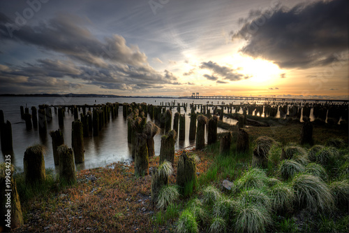 Wood pilings at sunset in Oregon.