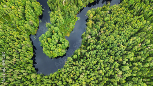 Aerial view on the forest and river. Beautiful natural landscape at the summer time