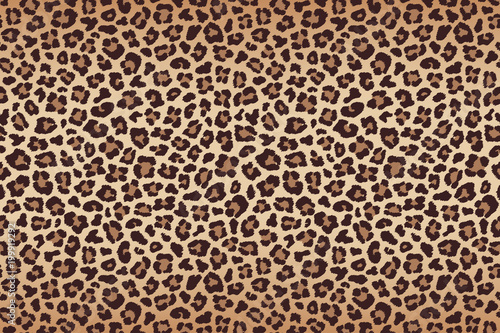 Leopard fur beige brown texture with dark border. Vector