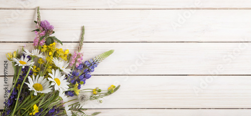 Wild flowers on old grunge white wooden background (chamomile lupine dandelions thyme mint bells rape)