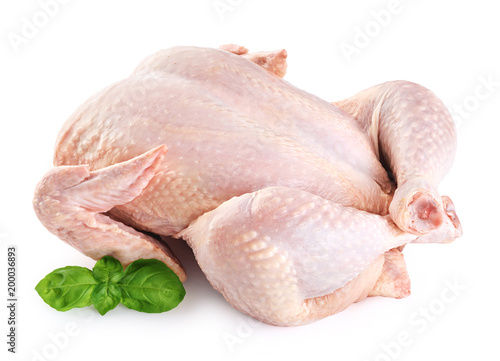 Fresh raw chicken and basil isolated on white background.