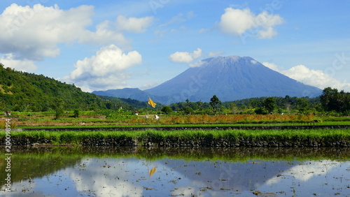 malerischer Vulkan Mt. Agung in Bali spiegelt sich im nassen Reisfeld in grüner Landschaft